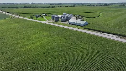 Illinois corn, soybean yields expected to be record numbers, USDA estimates