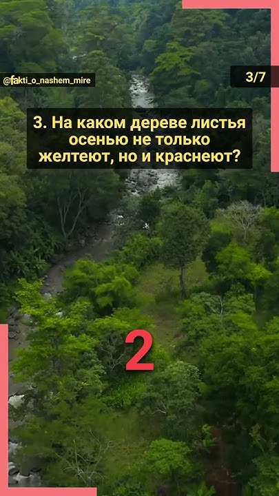 Тест о растениях. Часть 1. От плакучих ив до секвой! #знания #угадай # ...