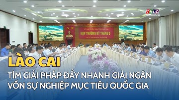 Tìm giải pháp đẩy nhanh giải ngân vốn sự nghiệp mục tiêu quốc gia | THLC