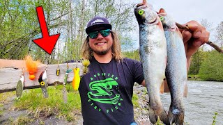 TROUT FISHING 2 Lakes Using As Many TROUT LURES As I Can!