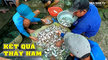 Kéo Lưới Bắt Cá Kết Quả Thấy Mê, Lẩu Chua Cá Sặc Trái Giác, Cá Kho Bữa Tiệc Dân Dã/NGÃ NĂM TV