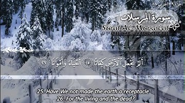 سورة المرسلات ماهر المعيقلي   Sûrat Al Mursalat Maher Al Muaiqly