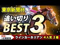 東京新聞杯 2025【追い切りランキングBEST3公開】1位推奨は勝負気配漂うアノ馬一択!