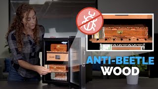 A Closer Look | Newair 250 Count Cigar Humidor