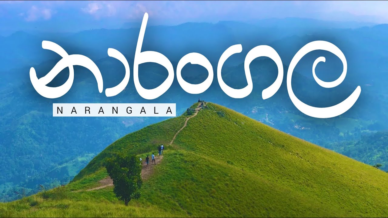 බදුලුපුරවරයේ දෙවෙනියට ඇති උසම කන්ද 🌍⛰️ නාරංගල | Narangala | Tour Vibes 