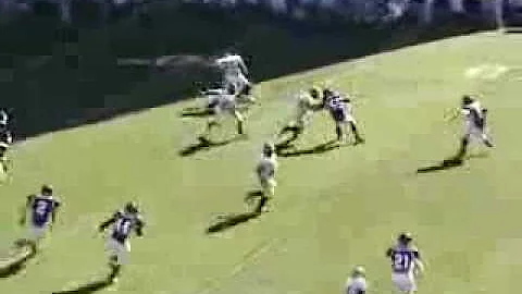Collin Stevens top 10 receptions