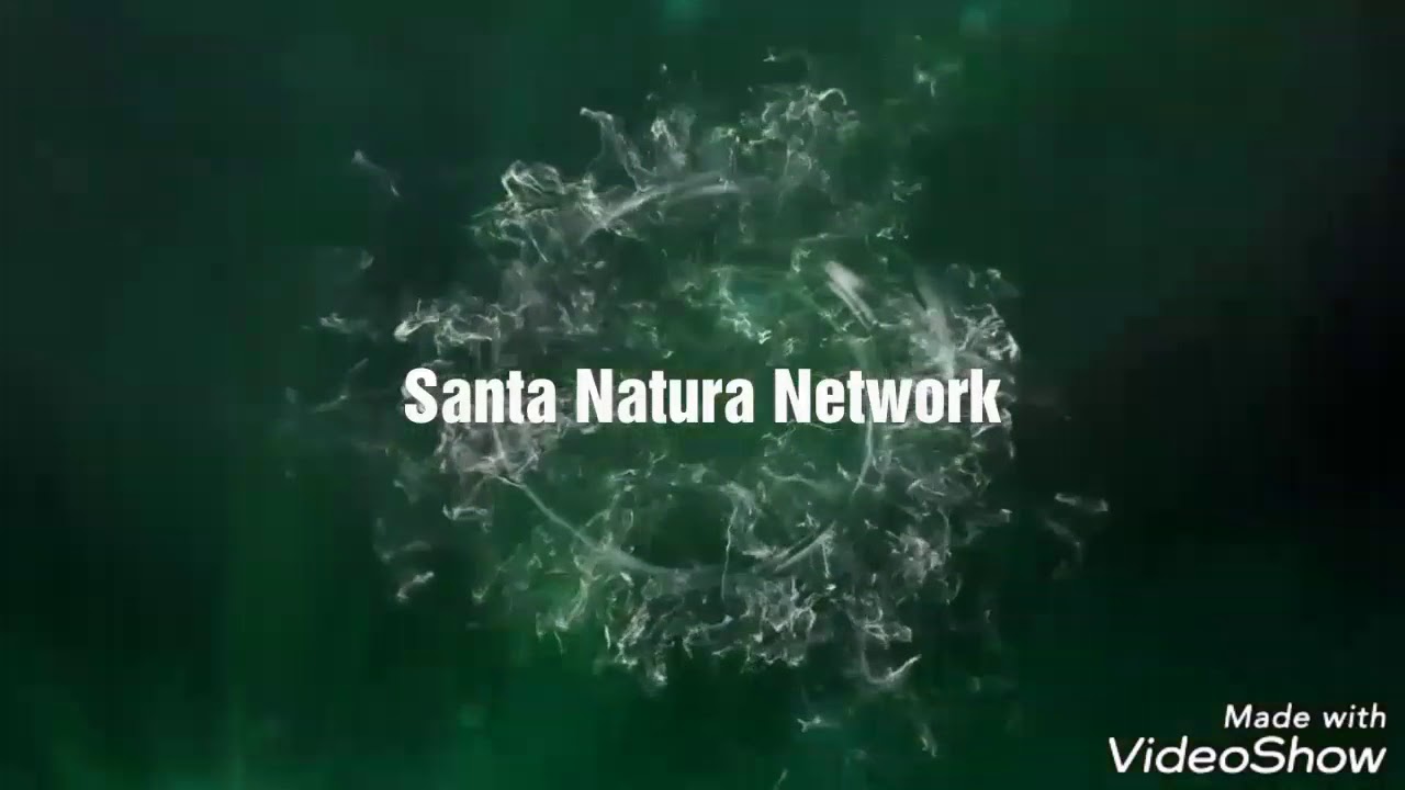 Santa Natura Concentrado de Alcachofa YouTube