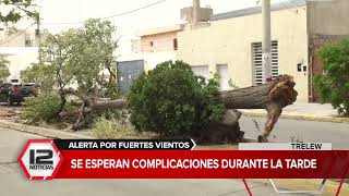 Trelew Alerta Por Fuertes Vientos En Chubut