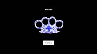 Steve Angello - Last Dance (Ft. Franz Novotny)