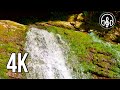 Waterfall sounds for sleeping. White noise 10 hours of 4K video.