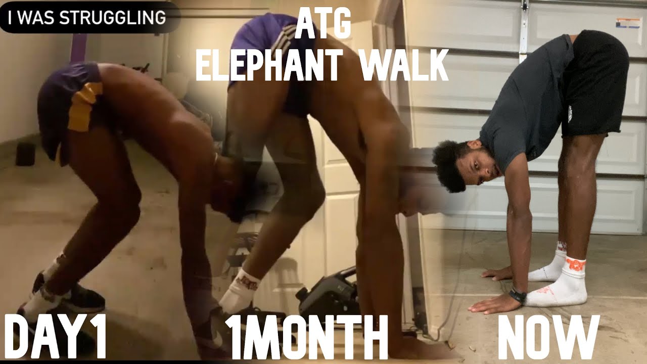 Breakdown of elephant walks by @The Kneesovertoesguy.