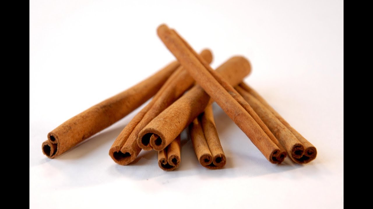 Dipladenia: come coltivare, potare e prendersi cura della ...