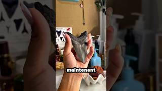 Cette Fille A Trouvé La Dent Dun Étrange Requin