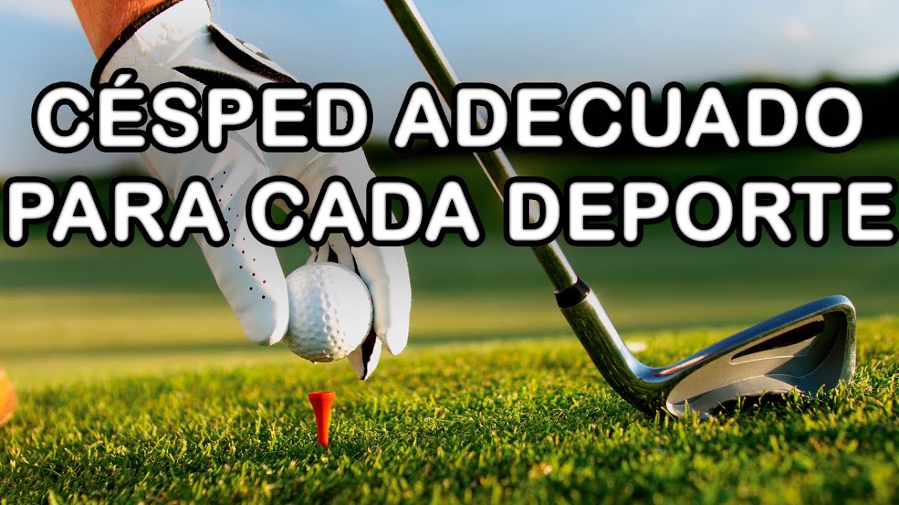CESPED ADECUADO PARA CADA DERPORTE - YouTube