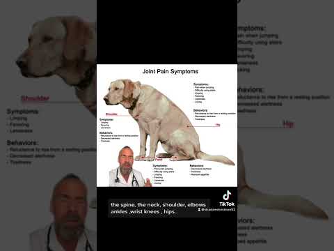 Video: Hunde Sundhed: Klump i hundens hals