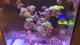 1040311造浪調整