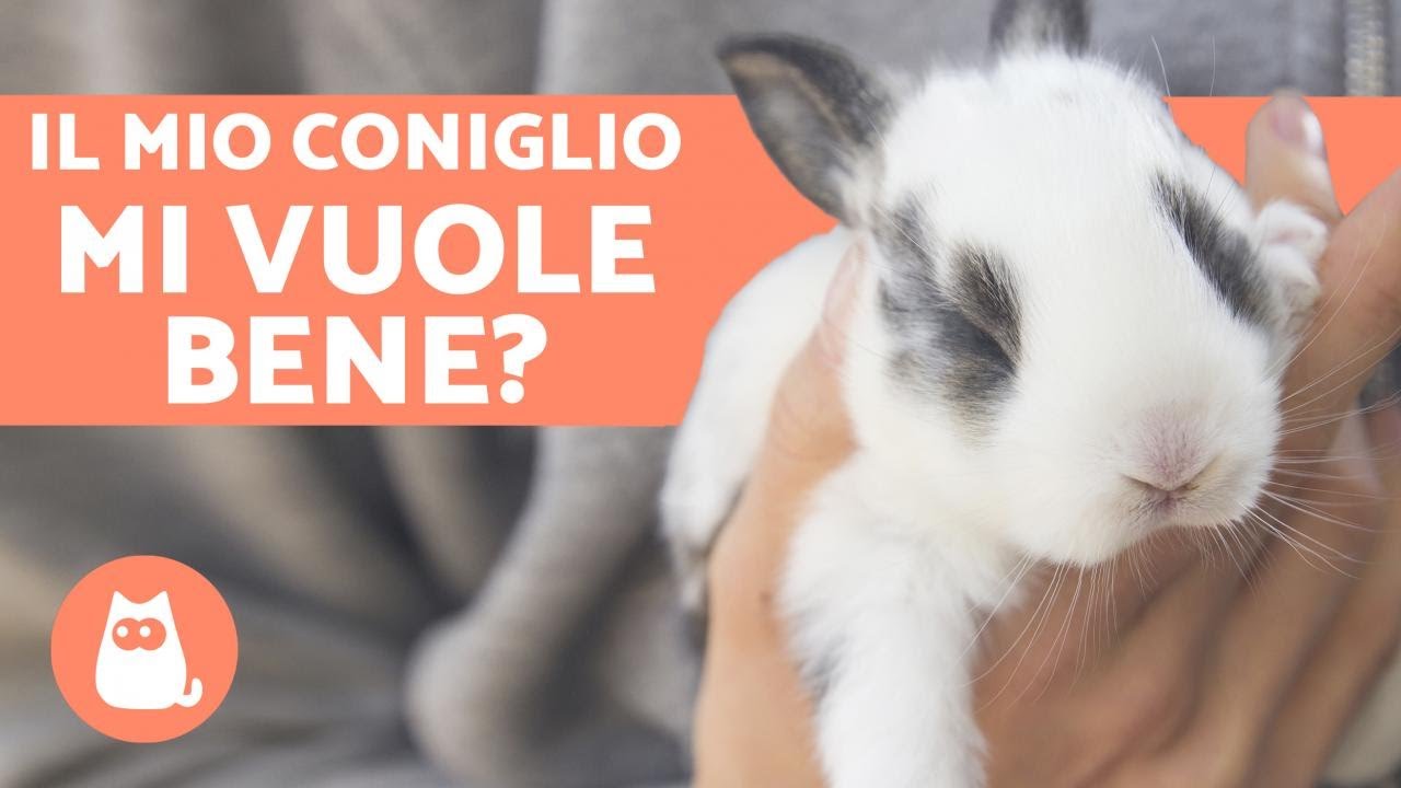 » 4 Segnali Per Capire Se Ti Vuole Lasciare Per un'Altra ...