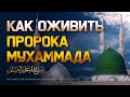 Как оживить Пророка Мухаммада ﷺ?