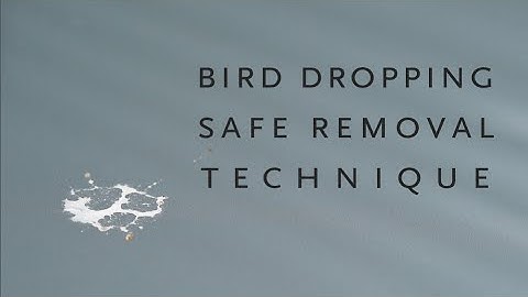 Bird Dropping Removal