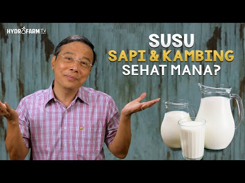 SUSU SAPI & SUSU KAMBING, Sehat Mana ??