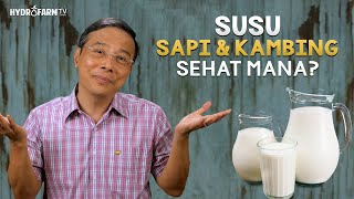 SUSU SAPI & SUSU KAMBING, Sehat Mana ??