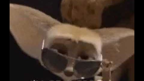 NPTEL DEEP LEARNING IIT ROPAR WEEK 12 ASSIGNMENT:)