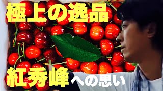 【限定販売】最高級のさくらんぼ「紅秀峰」を作るマルホ観光果樹園【イケメン】ロングバージョン