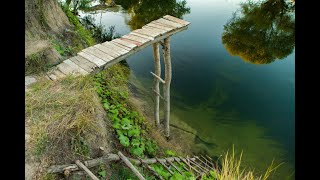 Bridging Gaps: How Feedback Culture Builds Success