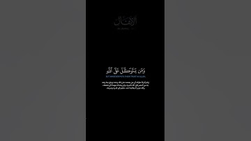 سورة الأنفال الآية 49الشيخ الدوسري #quran #guidance #قرآن #الدوسري #محمد_اللحيدان_حالات_واتساب_قرآن