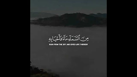 الله يبسط الرزق لمن يشاء || القارئ عبدالرحمن مسعد