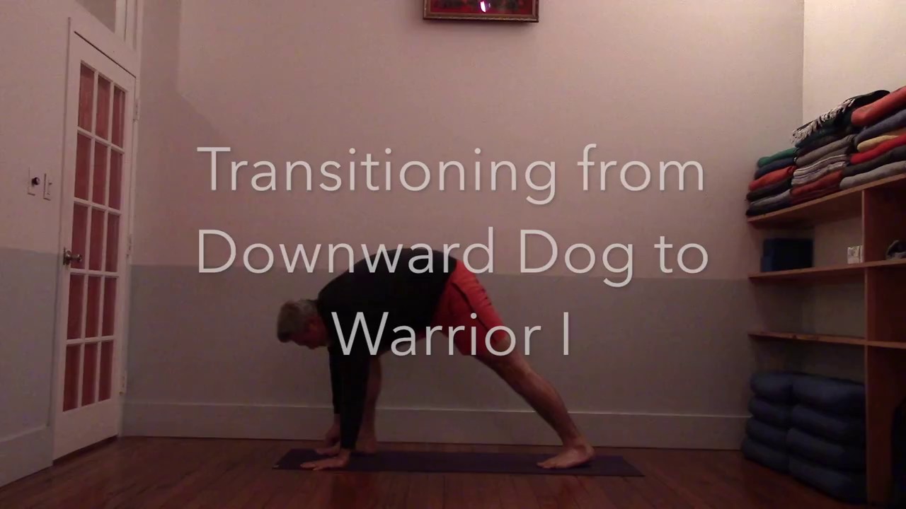 Downward Facing Dog To Warrior 1 Downward Facing Dog To Warrior 1