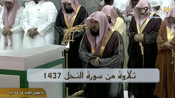 أداء مدهش و مبهر للشيخ بندر بليلة - من سورة النحل رمضان 1437