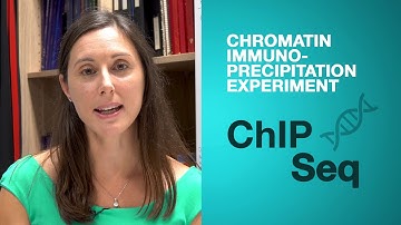 BIOESSAYS: Hit and run transcriptional repressors are difficult to catch in the act