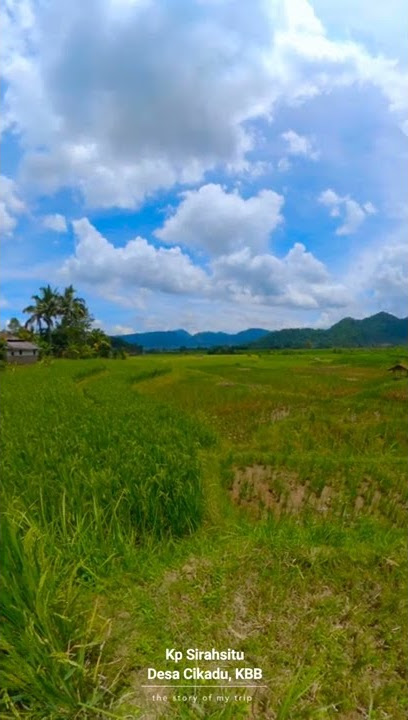 INDAH NIAN !!! PEMANDANGAN SAWAH DI KP SIRAHSITU, DESA CIKADU, BANDUNG BARAT, #shorts