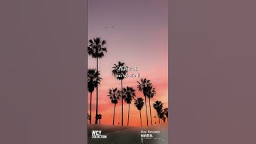 Alec Benjamin - 你的目光 The Way You Felt 「 我想著你的目光，你帶給我的溫存讓我放下偽裝，一瞬間就失去分寸 」【動態歌詞/pīn yīn gē cí】