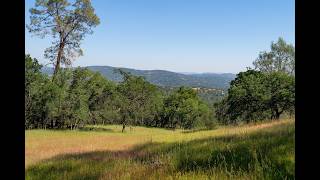 80 City View, Coarsegold, CA 93614 - Lots And Land for sale