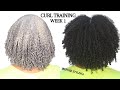 How to Train Your Natural Hair! Reduce frizz to improve wash n gos, twist outs & braid outs | Week 1