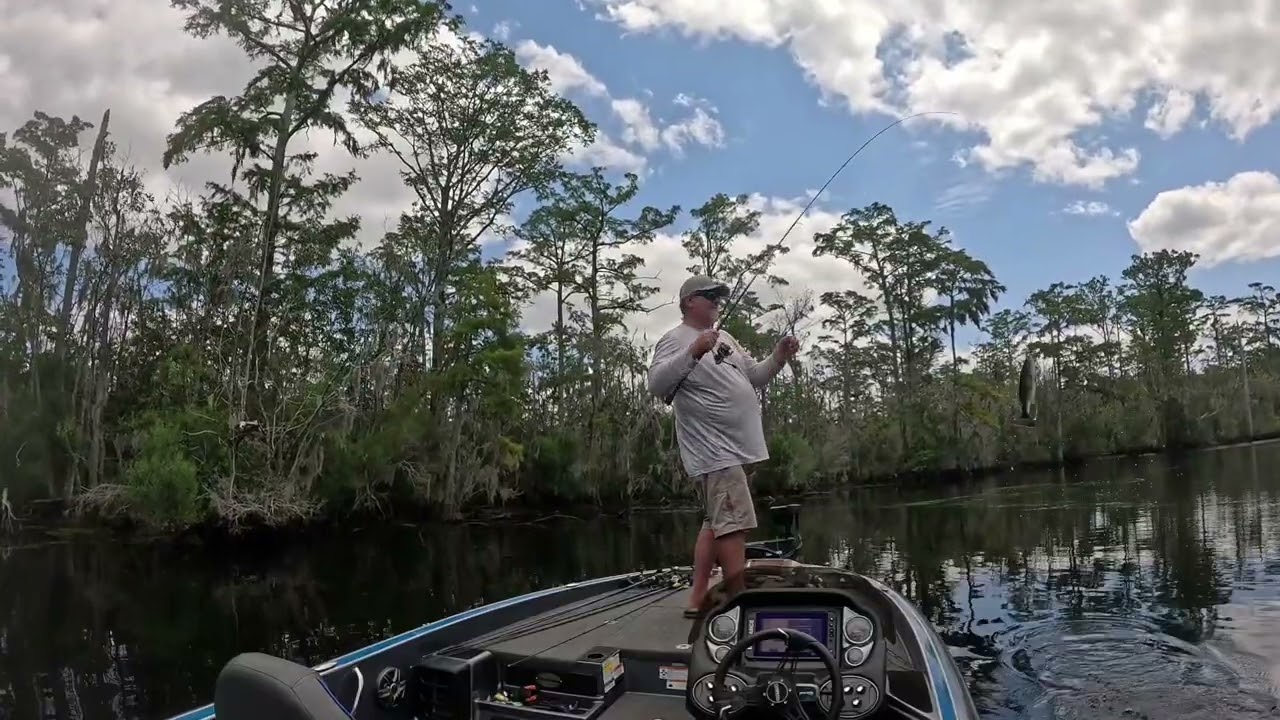 Bass fishing the Pasquotank River