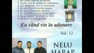Nelu Harap - Ai mila Doamne Sfinte