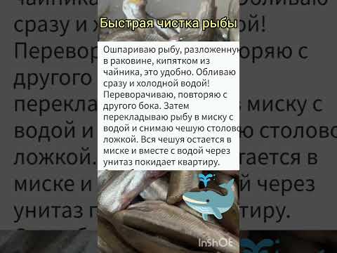 Как легко почистить рыбу . #советы#лайфхаки#рецепты#рыба#рыбалка