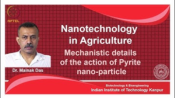 noc18-bt25-Lecture  21- Mechanistic Details of the Action of Pyrite Nanoparticle