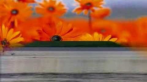 Microsoft Windows Vista Movie Maker