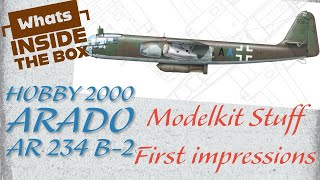 First impressions, Hobby 2000, 1/48, Arado AR 342 B-2 screenshot 4