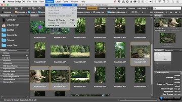 #07 Introduction Stack Menu In Adobe Bridge Adobe Photoshop Tutorials