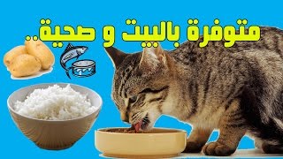 هذه الوجبات تحبها القطط ومفيدة لصحتها