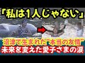 【皇室】「私は1人じゃない」沼津で生まれた友情が未来を変えた──愛子さまの涙