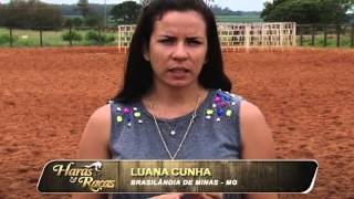 HARAS E RAÇAS - 1ª PROVA DE TEAM PENNING / BRASILANDIA (SEXTA-FEIRA)