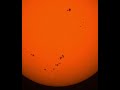 Closer look at today's sunspots 28.08.2025. 10.40am. With the Seestar s50 smart telescope.