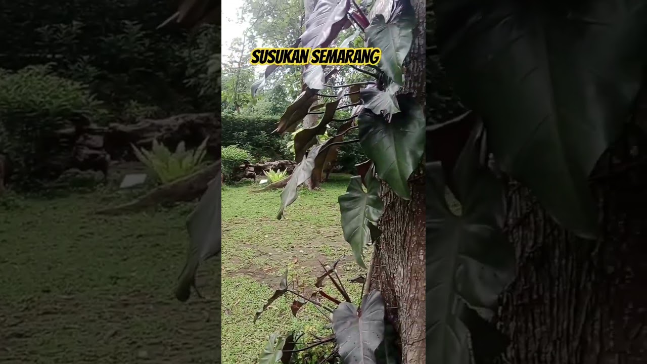 tempat outbond di susukan semarang