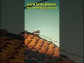 dengarkan agar tenang dan rilex#ayatulkursi #penenanghati #murottalmerdu #quran #tenangqolbu